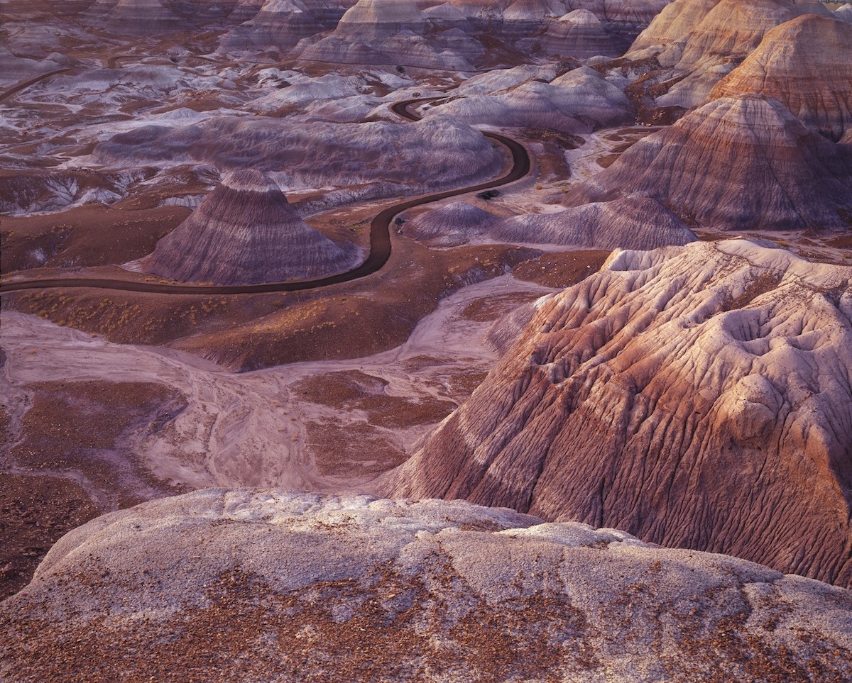 petrifiedforest_01s.jpg